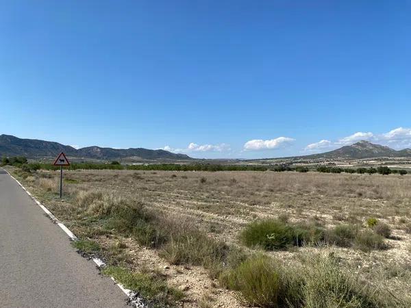 Terreno en carretera Monovar s/n sn photo 3