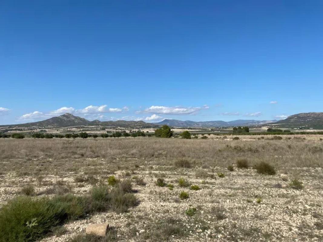 Działka na sprzedaż w Salinas, Alicante photo 4