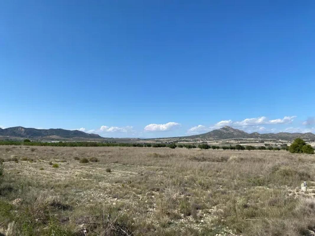 Działka na sprzedaż w Salinas, Alicante photo 5