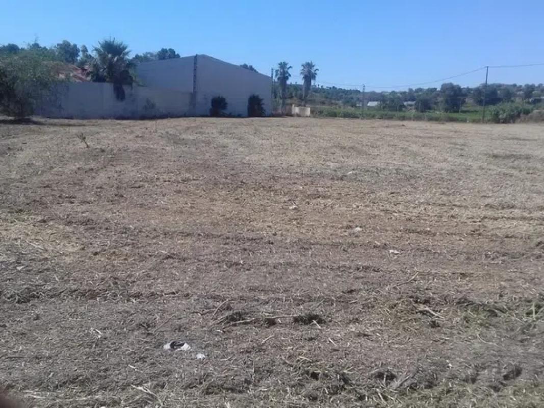 Terreno en venta en Orihuela, Alicante photo 1