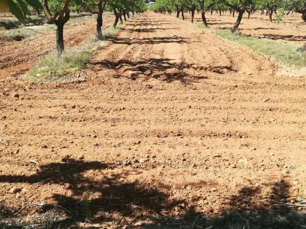 Terreno en venta en Biar, Alicante photo 5