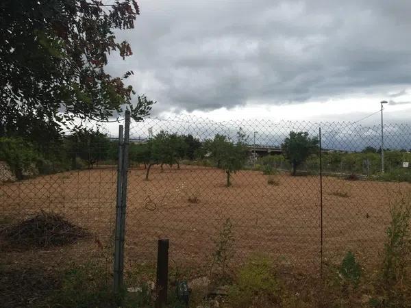 Terreno en Banyeres de Mariola photo 1