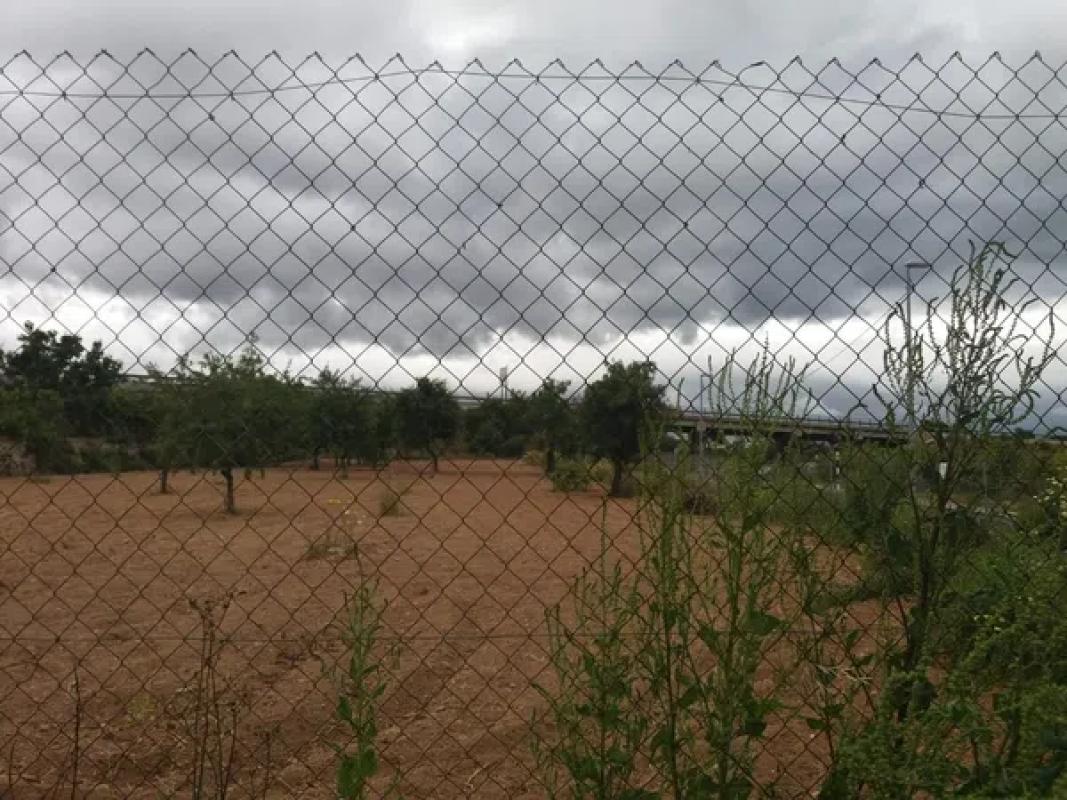 Land for sale in Banyeres de Mariola, Alicante photo 4