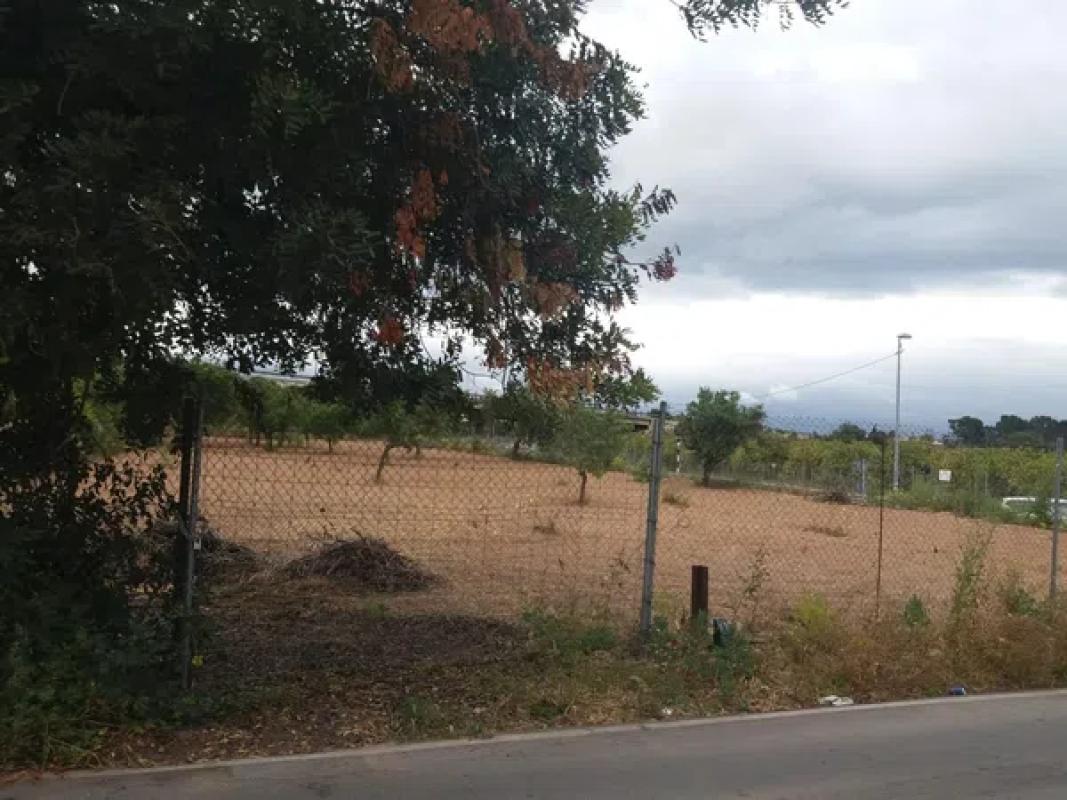 Land for sale in Banyeres de Mariola, Alicante photo 5