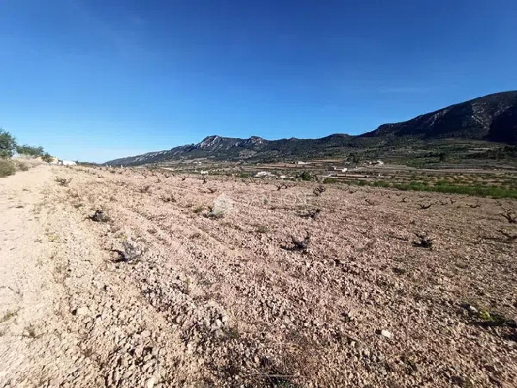 Działka na sprzedaż w La Romana, Alicante photo 2