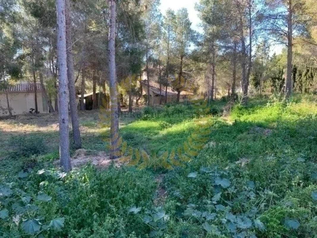 Terreno en venta en Callosa d''En Sarria, Alicante photo 3