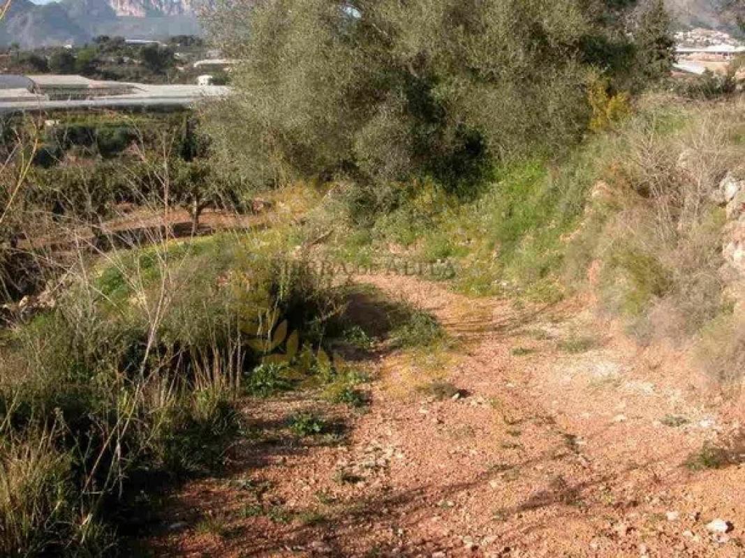 Terreno en venta en Callosa d''En Sarria, Alicante photo 4