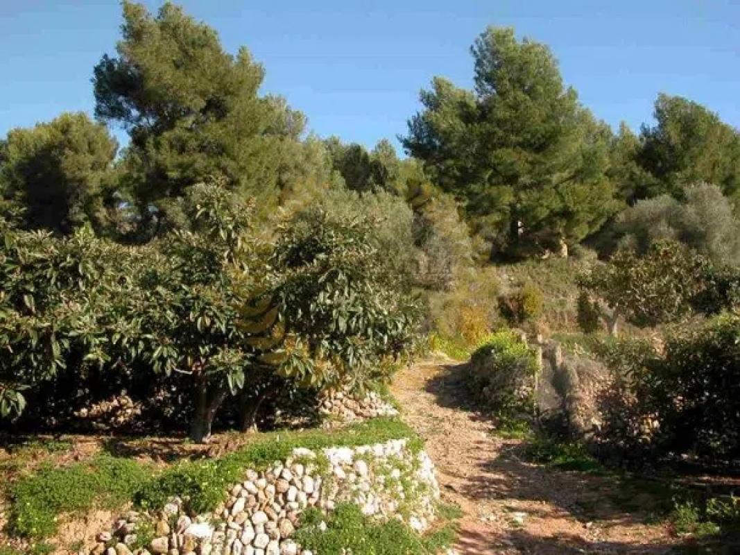 Terreno en venta en Callosa d''En Sarria, Alicante photo 5
