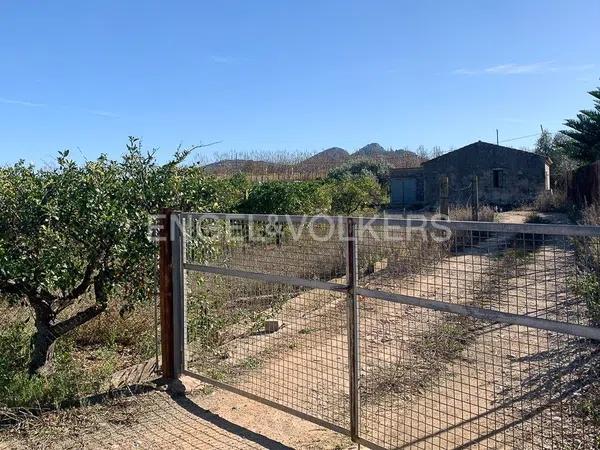 Terreno en Ondara photo 1