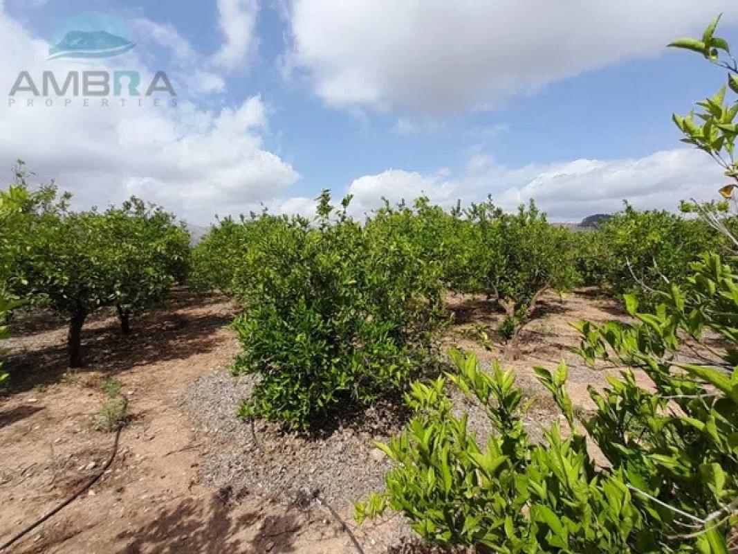 Участок земли на продажу в Пего, Аликанте photo 5