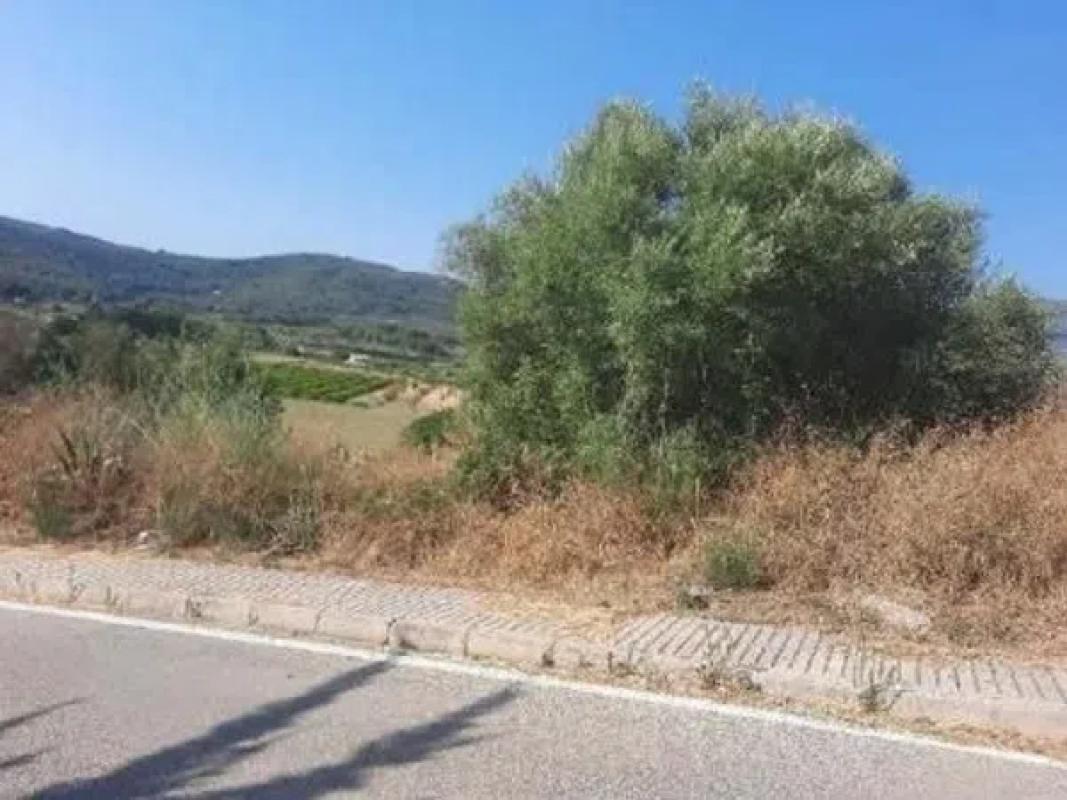 Terreno en venta en Jalón, Alicante photo 3