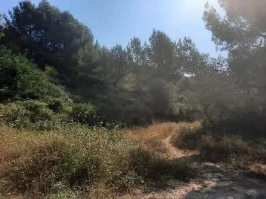Terreno en venta en Jalón, Alicante photo 5