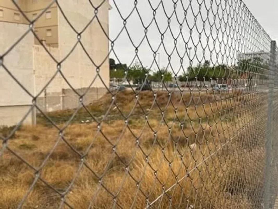 Land for sale in Novelda, Alicante photo 3