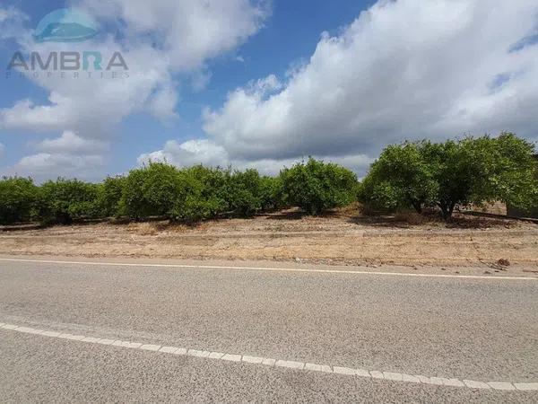 Terreno en Pego photo 3