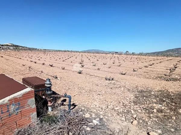 Terreno en Pinoso photo 1