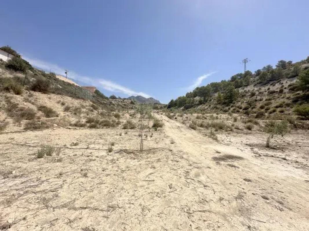 Działka na sprzedaż w Busot, Alicante photo 3