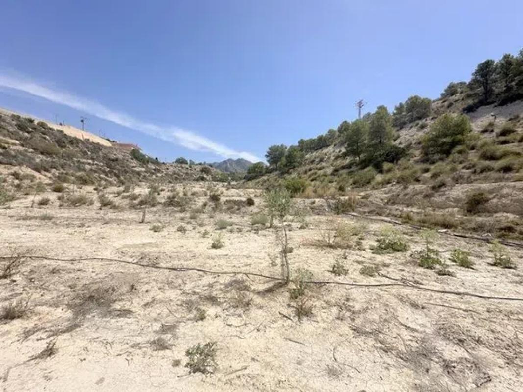 Działka na sprzedaż w Busot, Alicante photo 4