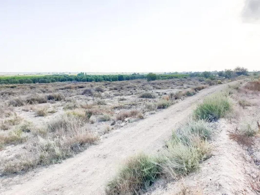 Działka na sprzedaż w Elche / Elx, Alicante photo 2