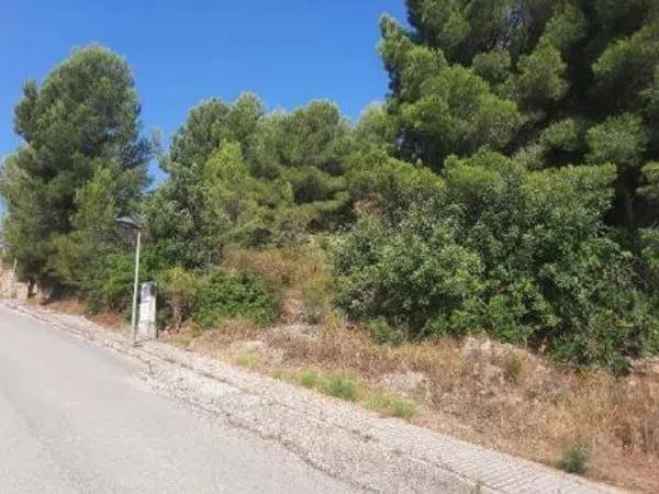 Terreno en Urbanización la Almazara photo 3