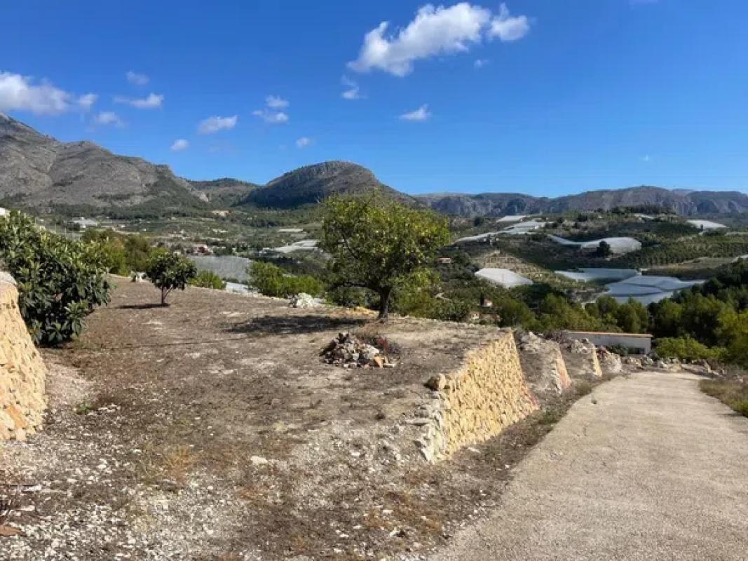 Terreno en venta en Callosa d''En Sarria, Alicante photo 2