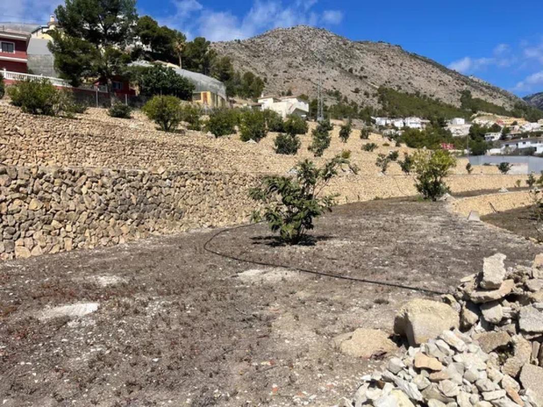 Terreno en venta en Callosa d''En Sarria, Alicante photo 4