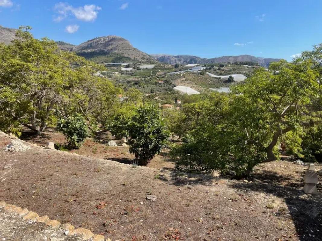 Terreno en venta en Callosa d''En Sarria, Alicante photo 5