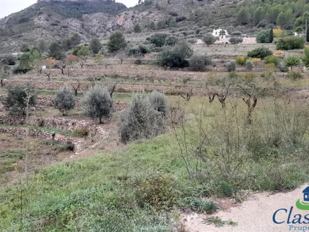 Terreno en venta en Jalón, Alicante photo 1