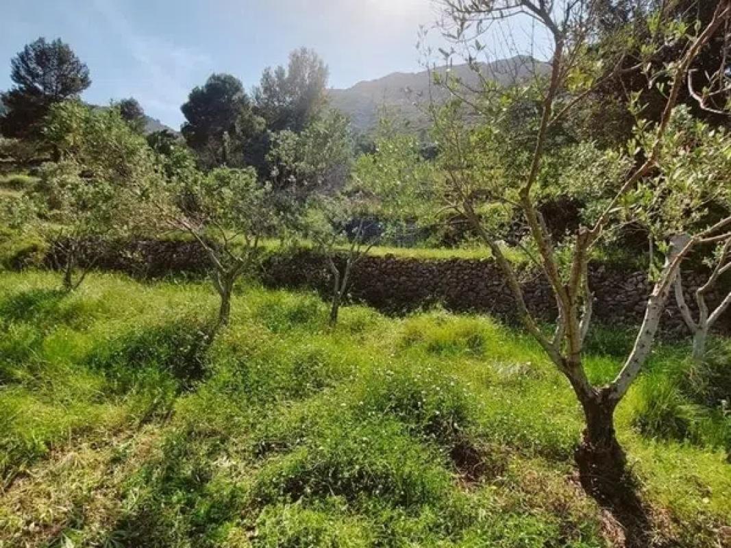 Terreno en venta en Jalón, Alicante photo 2