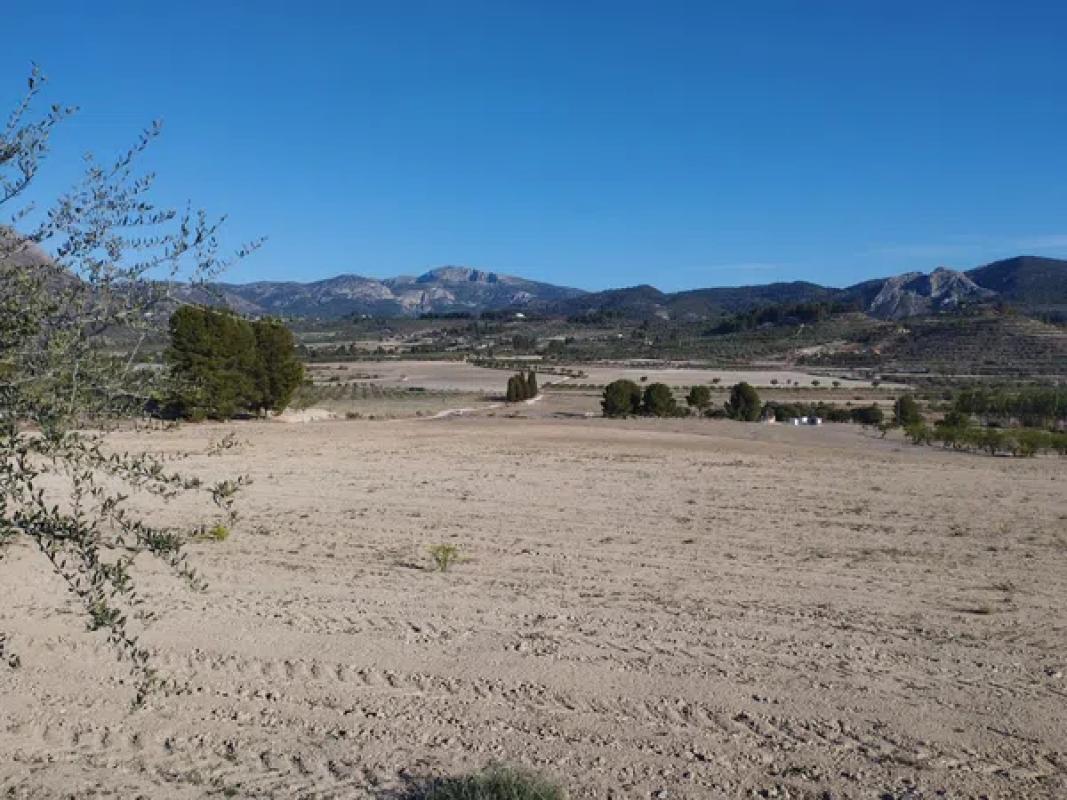 Terreno en venta en Benilloba, Alicante photo 1