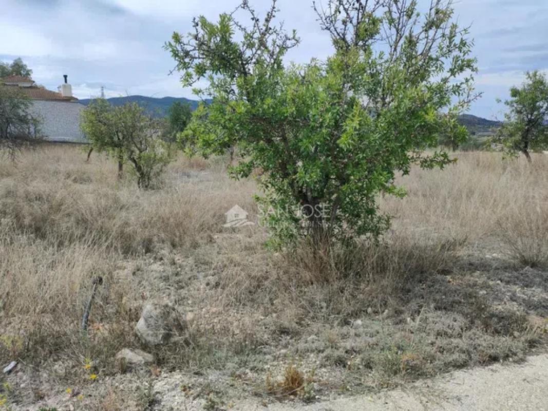 Działka na sprzedaż w Hondón de las Nieves, Alicante photo 2