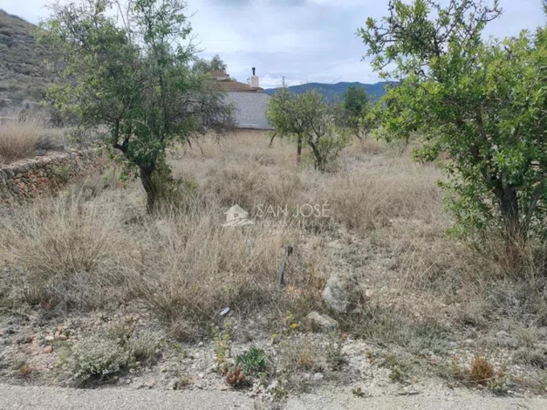 Działka na sprzedaż w Hondón de las Nieves, Alicante photo 4