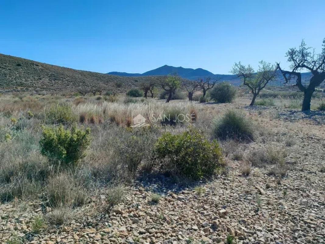 Land for sale in Hondón de los Frailes, Alicante photo 2