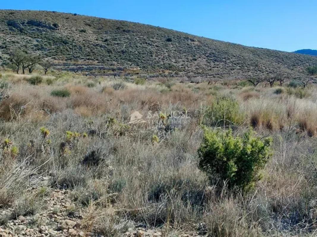 Land for sale in Hondón de los Frailes, Alicante photo 4