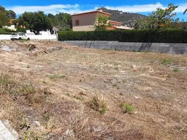 Terreno en Alcalalí photo 3