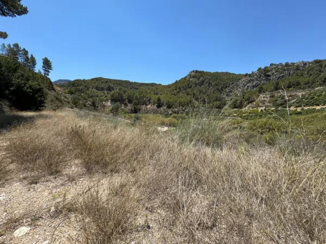 Terreno en venta en Callosa d''En Sarria, Alicante photo 3