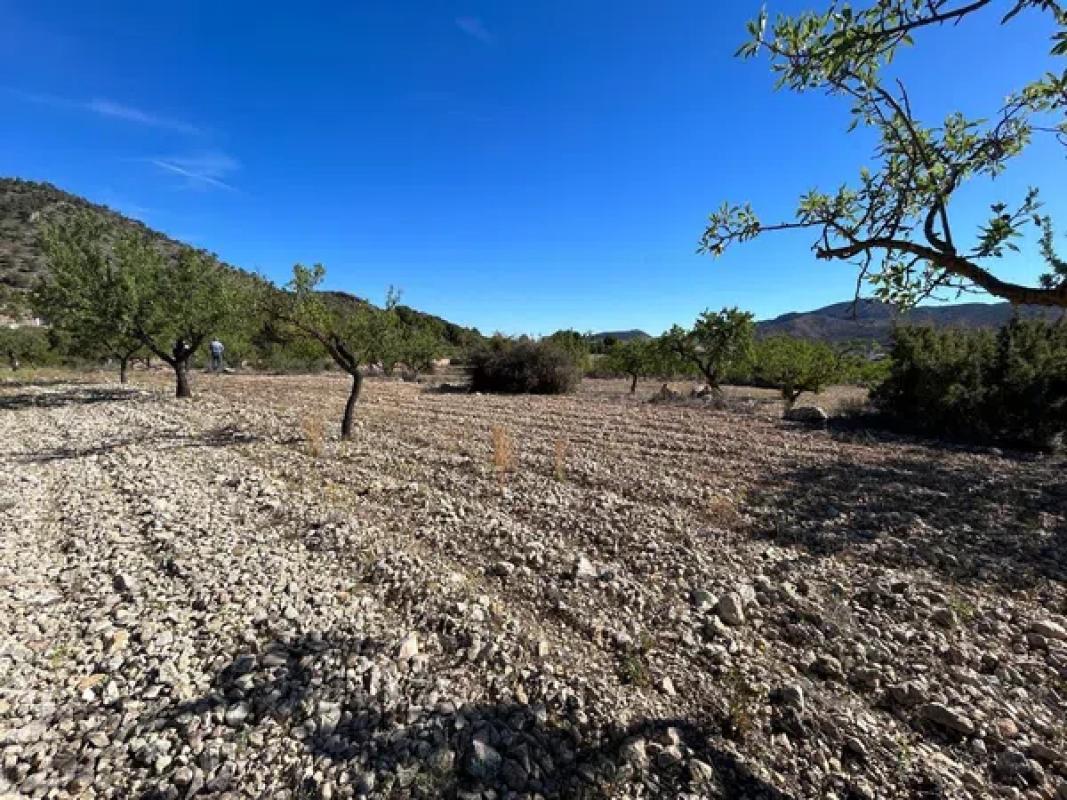 Terreno en venta en La Romana, Alicante photo 4