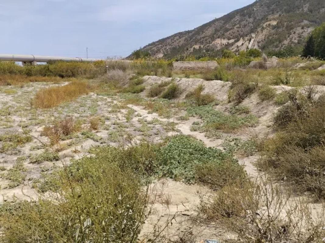 Terreno en venta en Orihuela, Alicante photo 4
