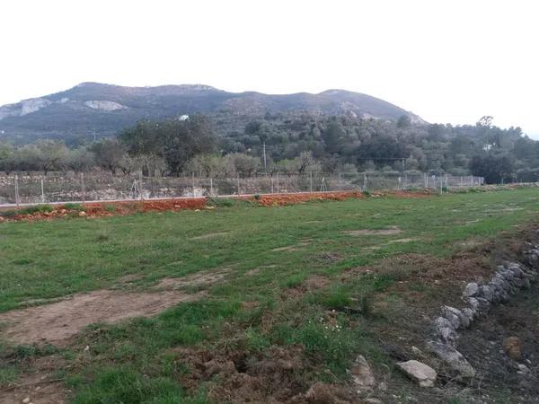 Terreno en Alcalalí photo 1