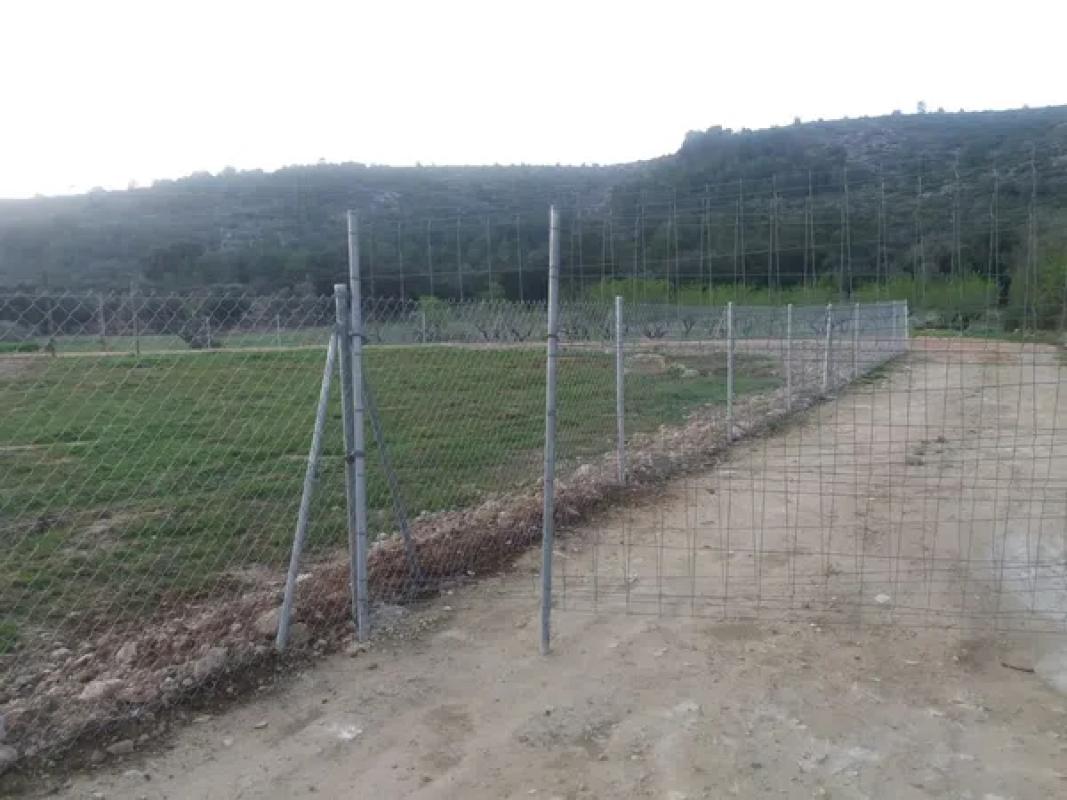 Land for sale in Alcalalí, Alicante photo 5