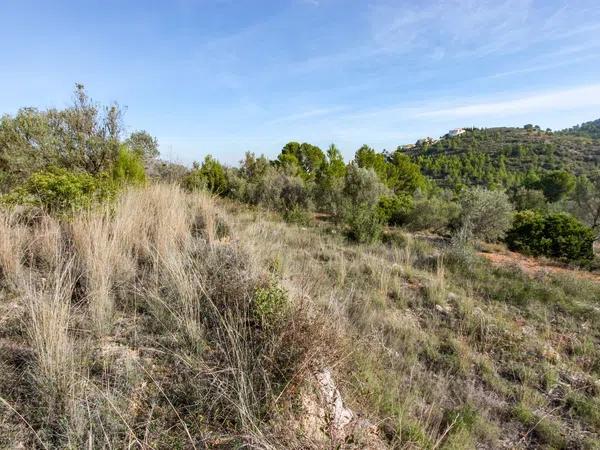 Terreno en Orba photo 1