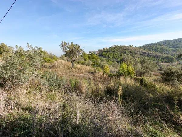 Terreno en Orba photo 2