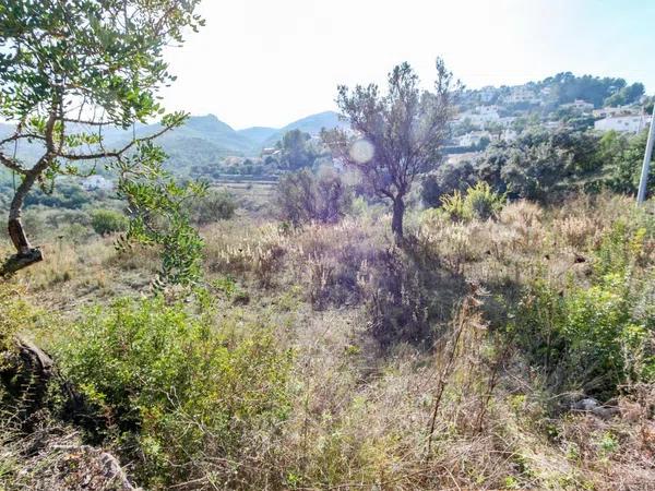 Terreno en Orba photo 3
