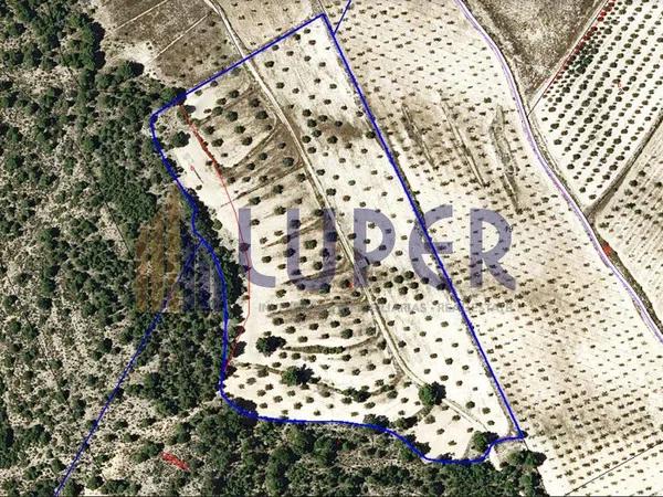 Terreno en Campo Alto photo
