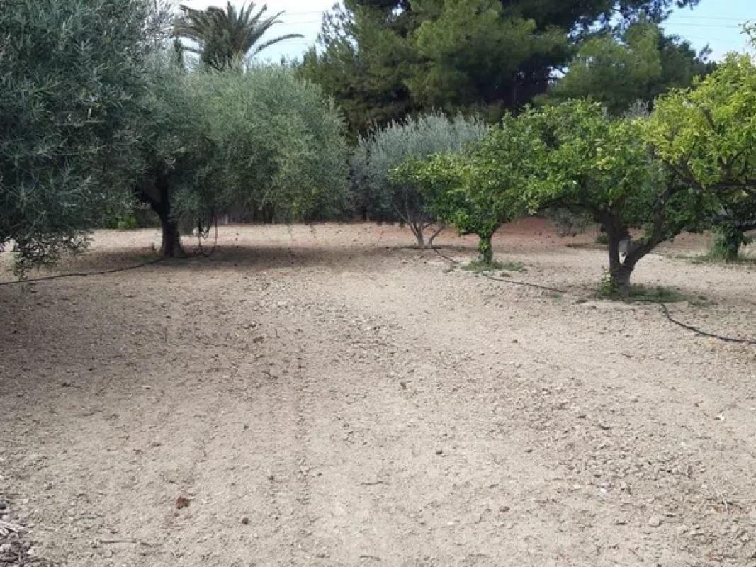 Terreno en venta en Busot, Alicante photo 1