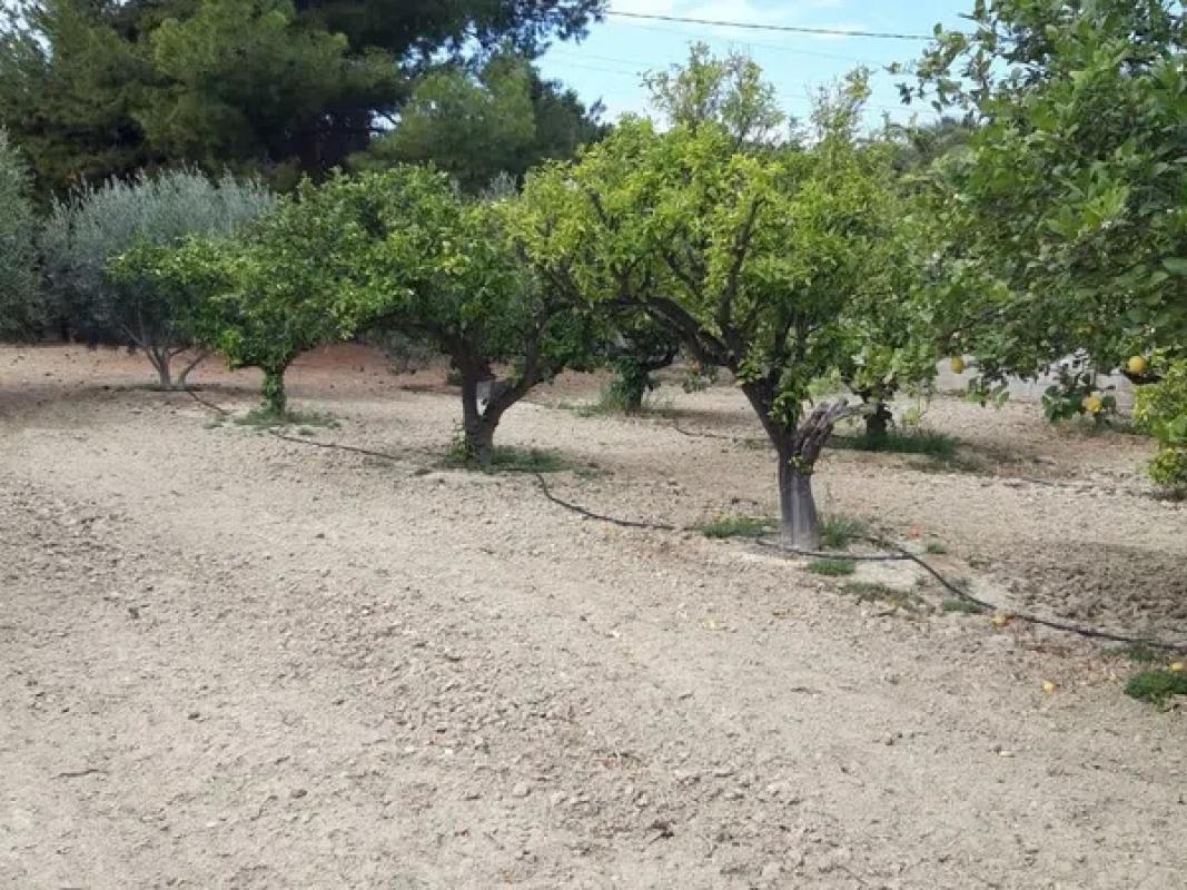 Terreno en venta en Busot, Alicante photo 2