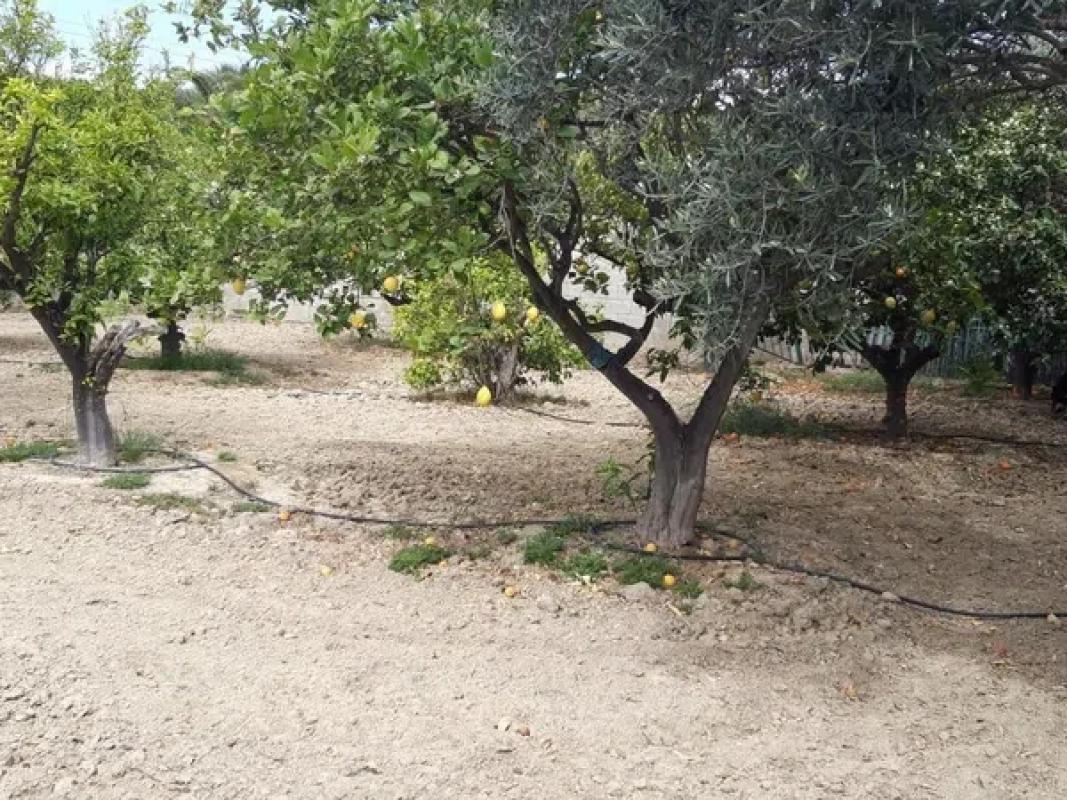 Terreno en venta en Busot, Alicante photo 3