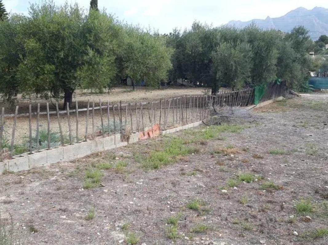Terreno en venta en Busot, Alicante photo 4