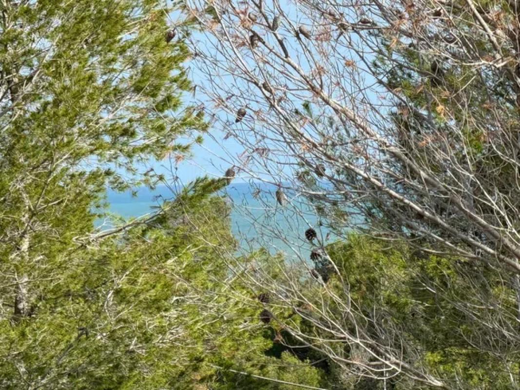 Участок земли на продажу в Дения, Аликанте photo 1