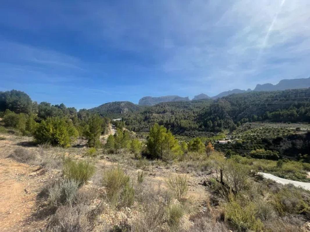 Land for sale in Callosa d'En Sarria, Alicante photo 1
