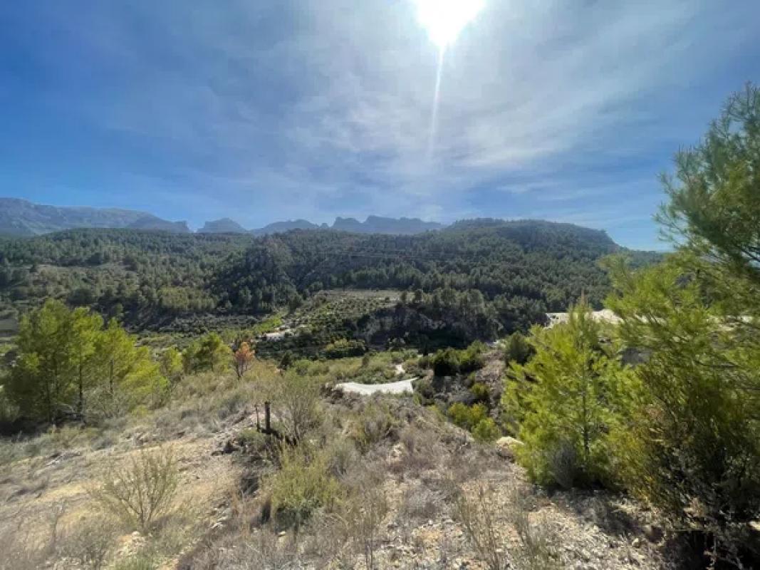 Land for sale in Callosa d'En Sarria, Alicante photo 2